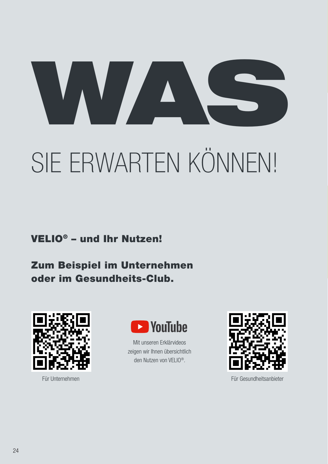 Vorschau Velio - Funktion und Lebenswelten des VELIO Seite 24